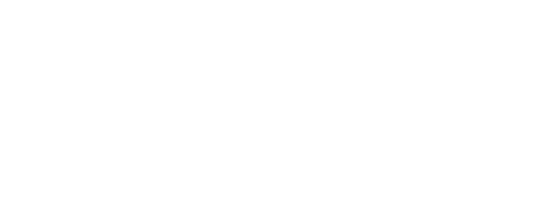 LEO DRUK